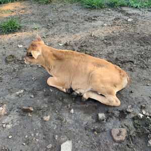 Meet your Posher, Joaquin